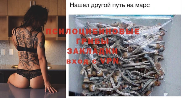экстази Богородск