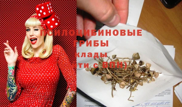 твердый Протвино