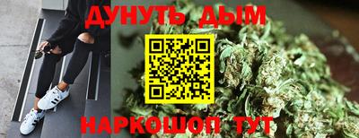 прущие грибы Жуковский