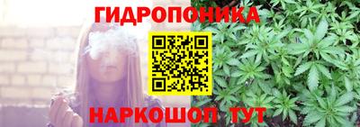 прущие грибы Жуковский