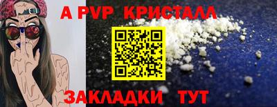 спиды Заводоуковск