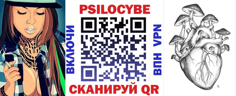 как найти   Шарыпово  Галлюциногенные грибы GOLDEN TEACHER 