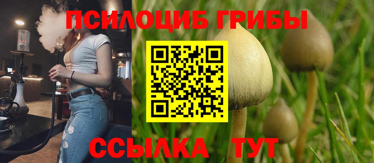 Псилоцибиновые грибы MAGIC MUSHROOMS Шарыпово
